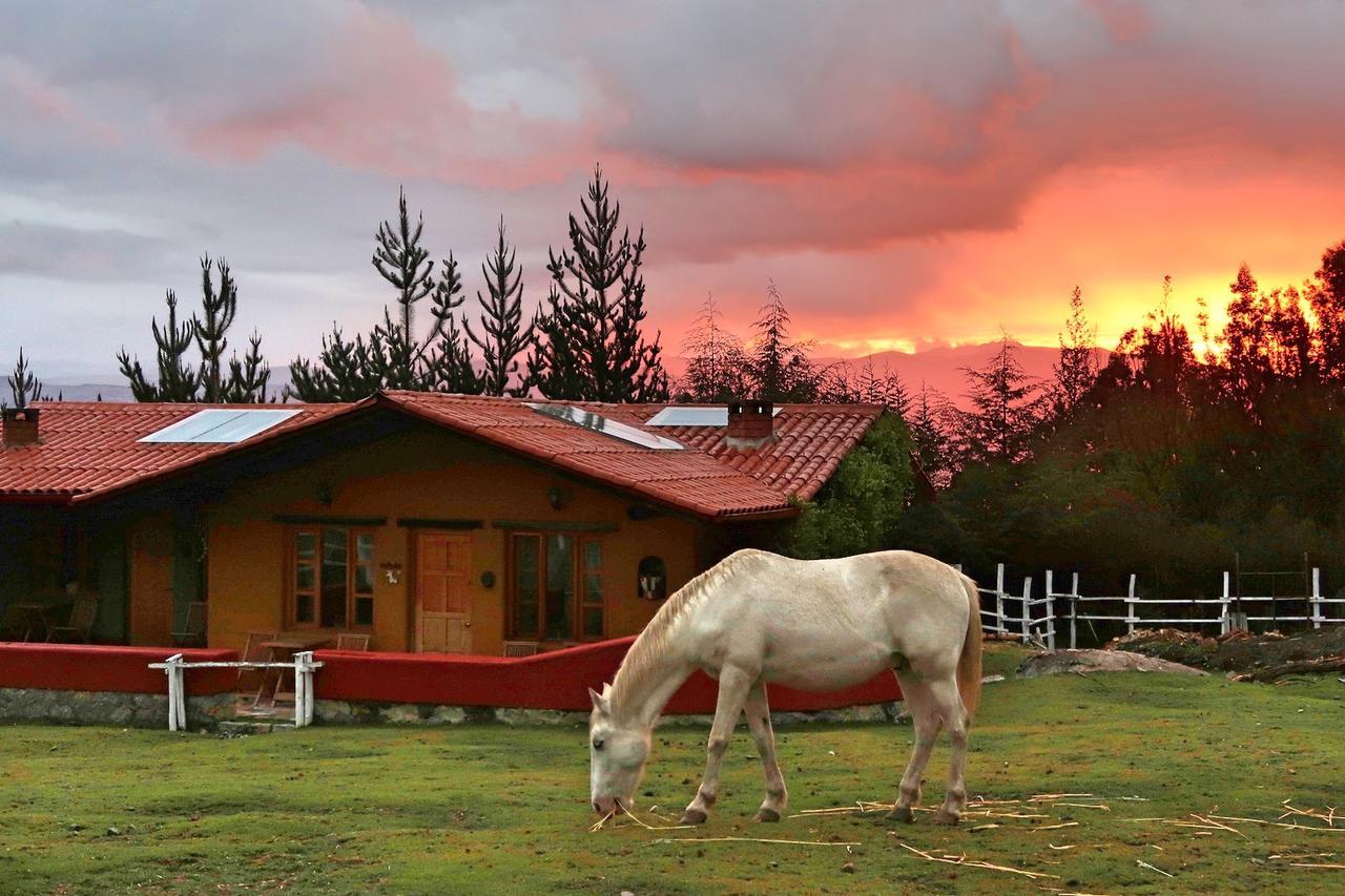 The Lazy Dog Inn A Mountain Lodge Huaraz  Exteriör bild