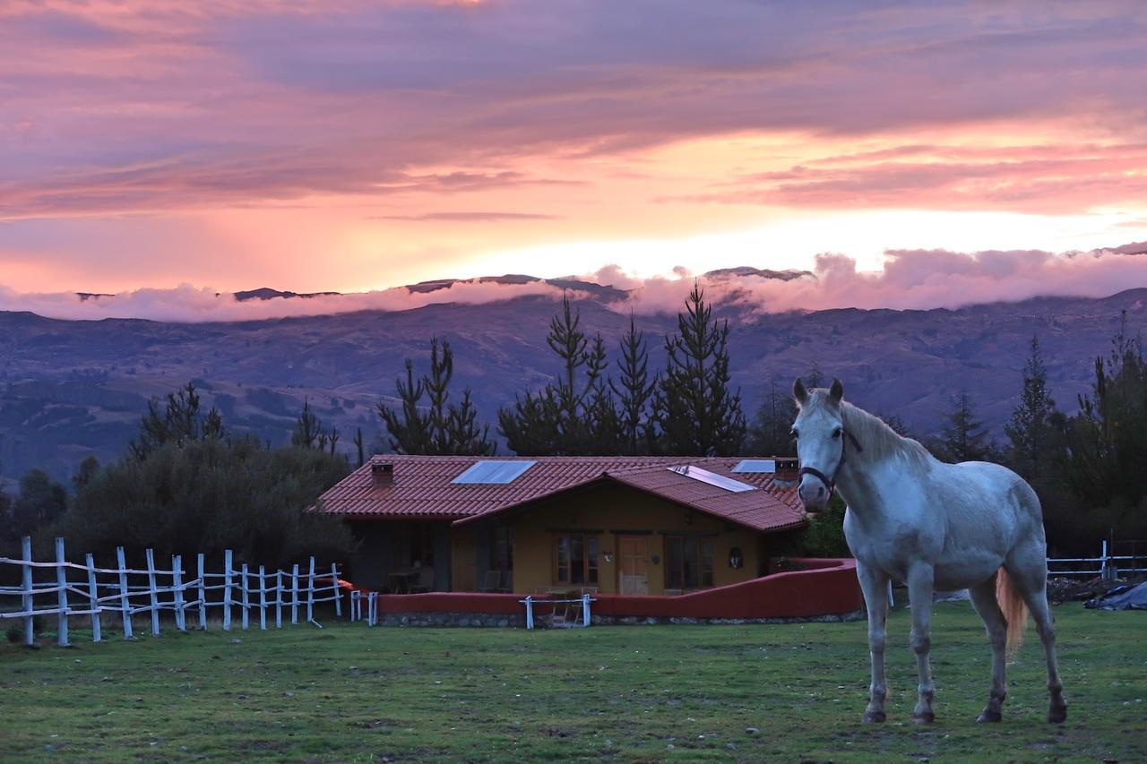 The Lazy Dog Inn A Mountain Lodge Huaraz  Exteriör bild