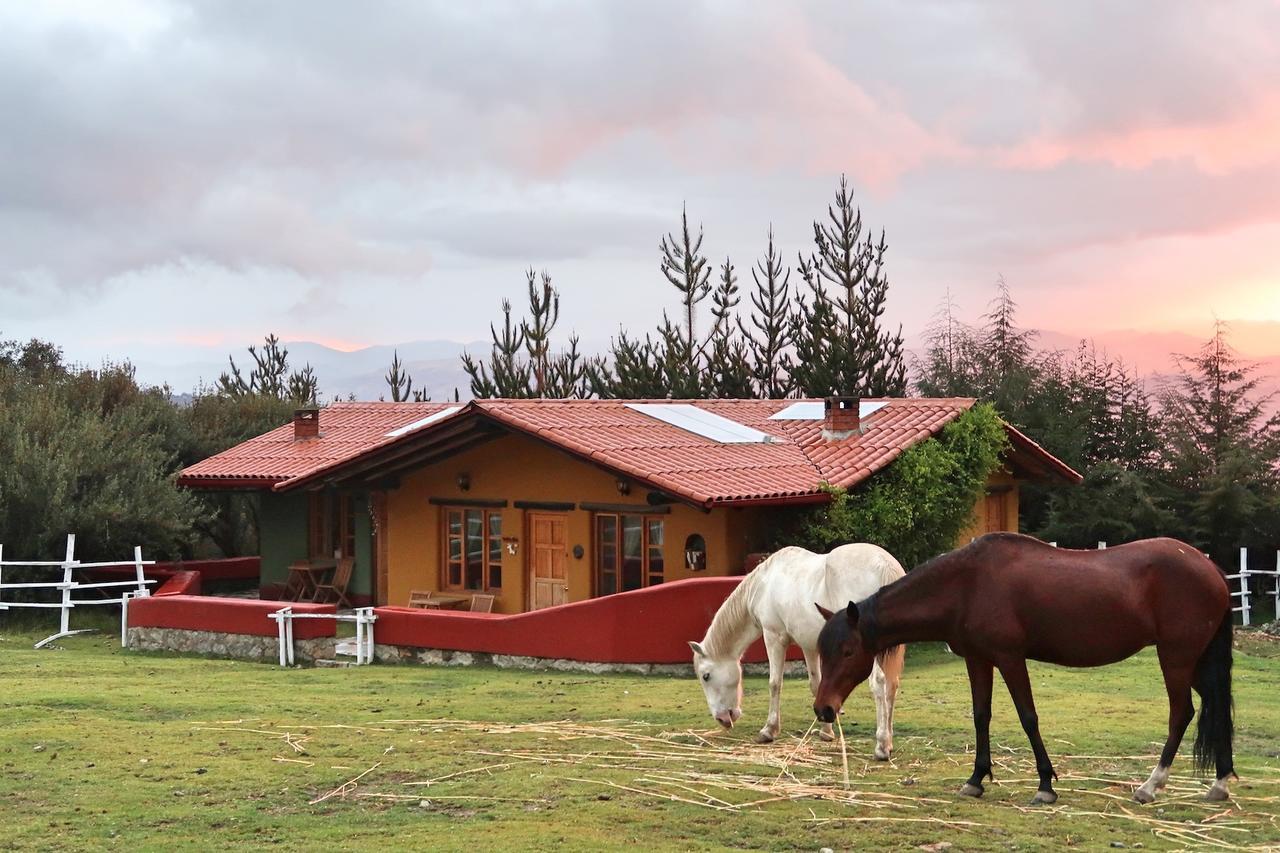 The Lazy Dog Inn A Mountain Lodge Huaraz  Exteriör bild