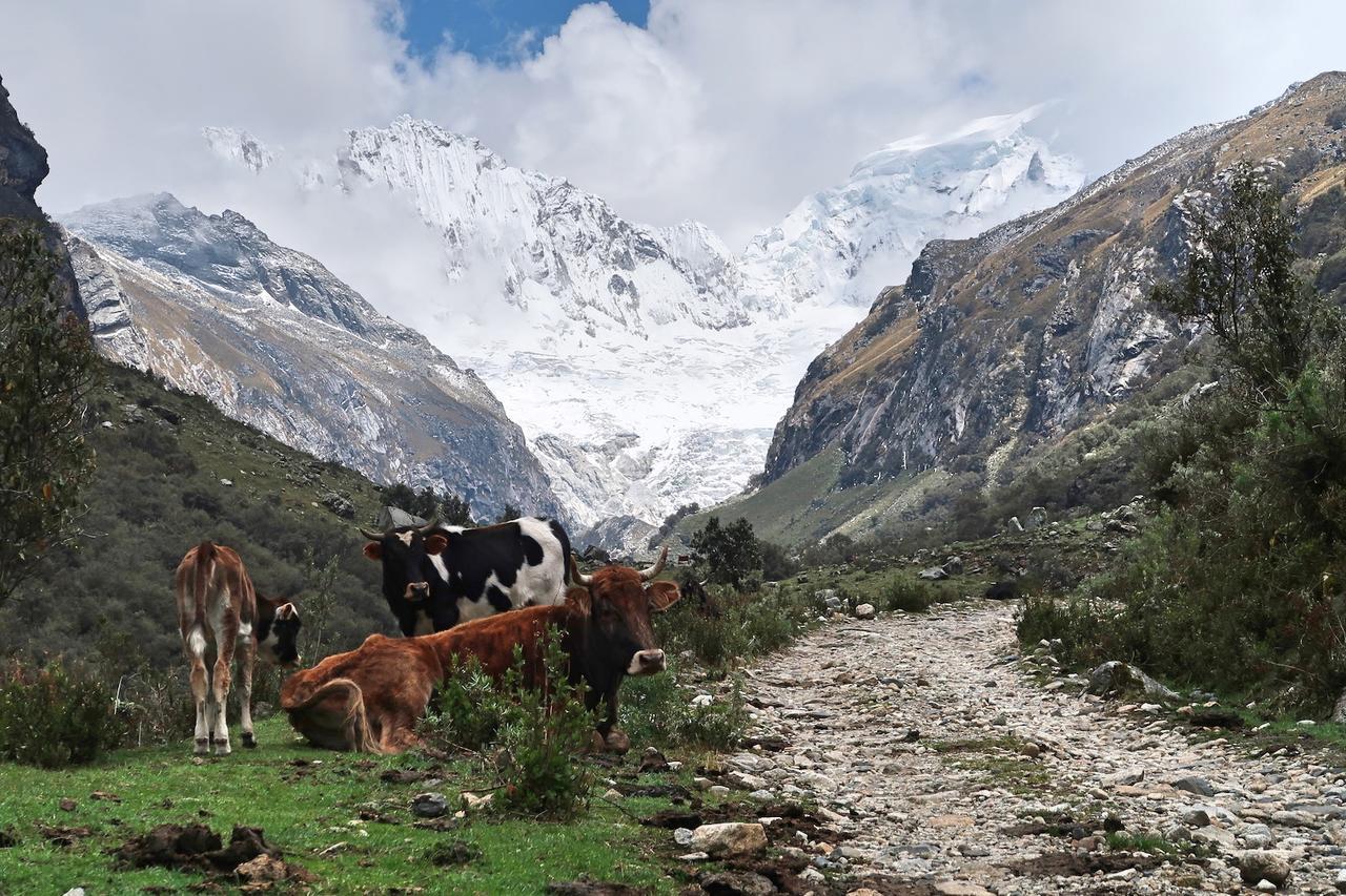 The Lazy Dog Inn A Mountain Lodge Huaraz  Exteriör bild