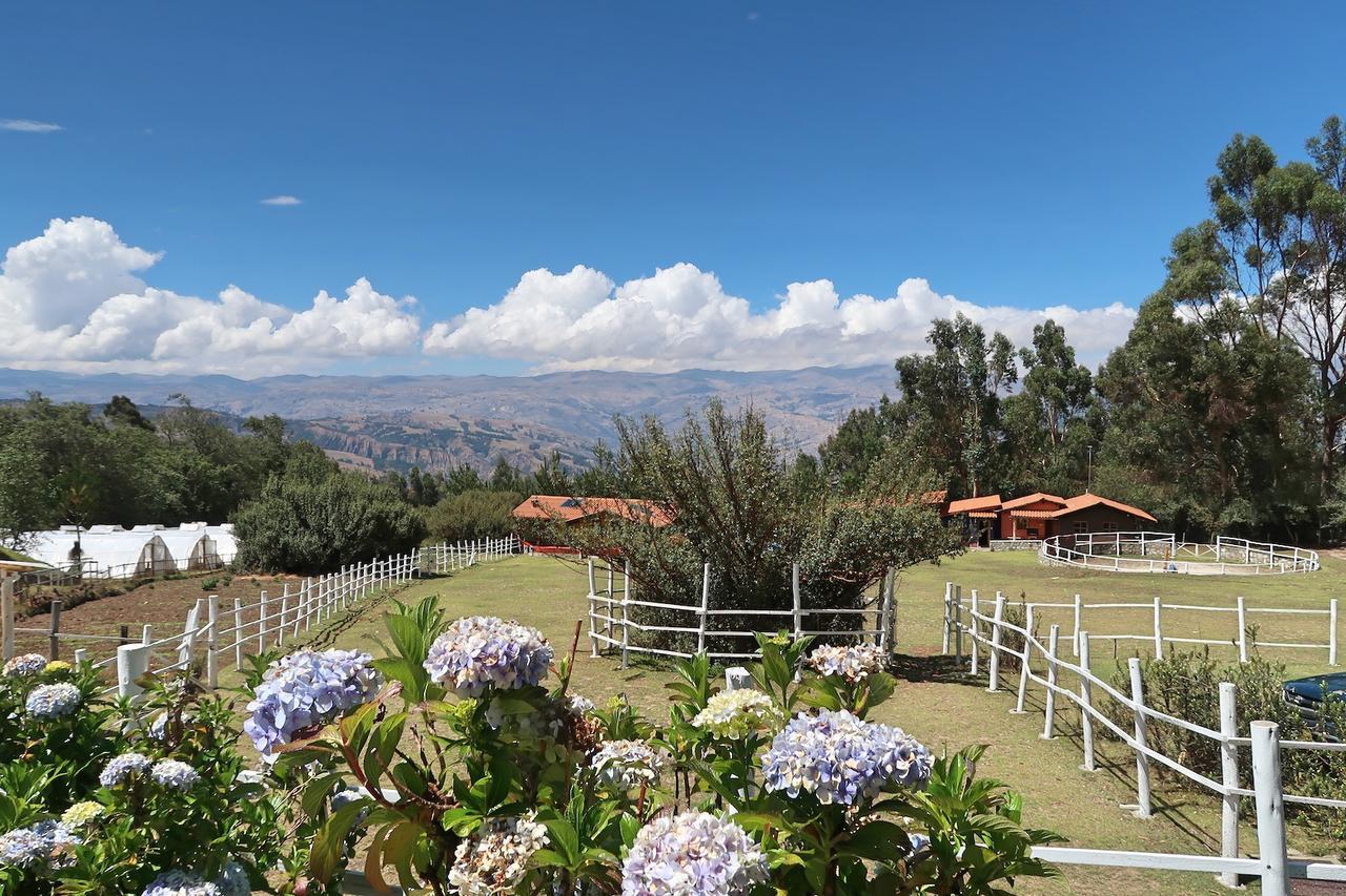 The Lazy Dog Inn A Mountain Lodge Huaraz  Exteriör bild