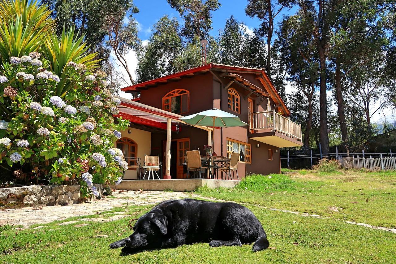 The Lazy Dog Inn A Mountain Lodge Huaraz  Exteriör bild